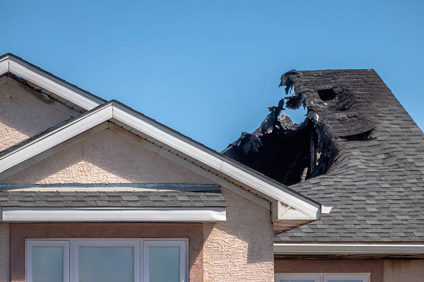 Top rated local Odor Removal specialists in Berlin, OH